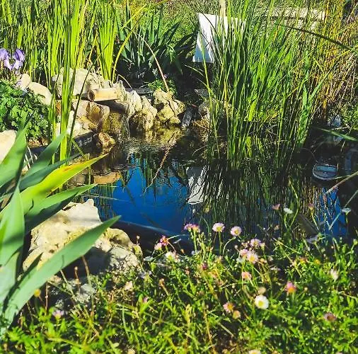 Le Cotil Ribes Гостевой дом