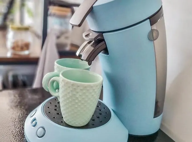 Гостевой дом Le Cotil Ribes Grangues